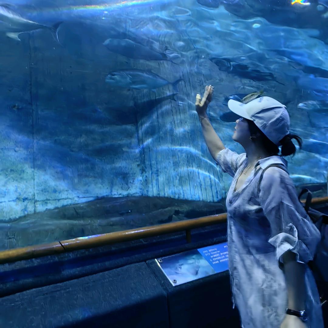 天上掉下个小土豆