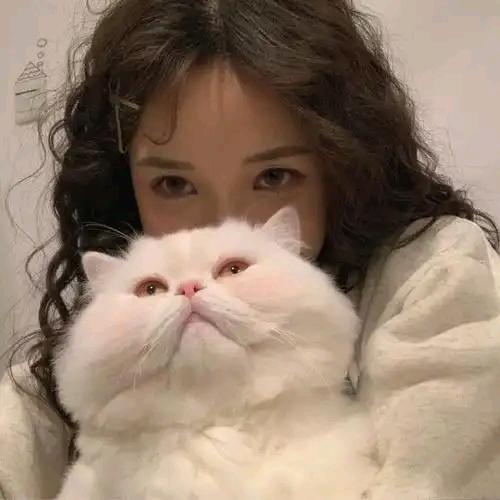 汤姆克鲁斯