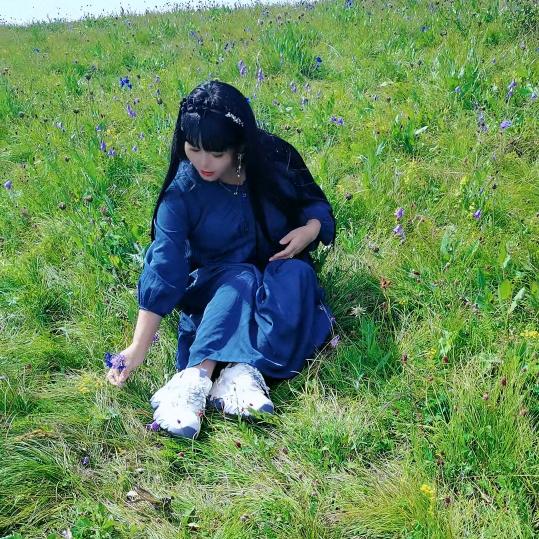 彩蝶