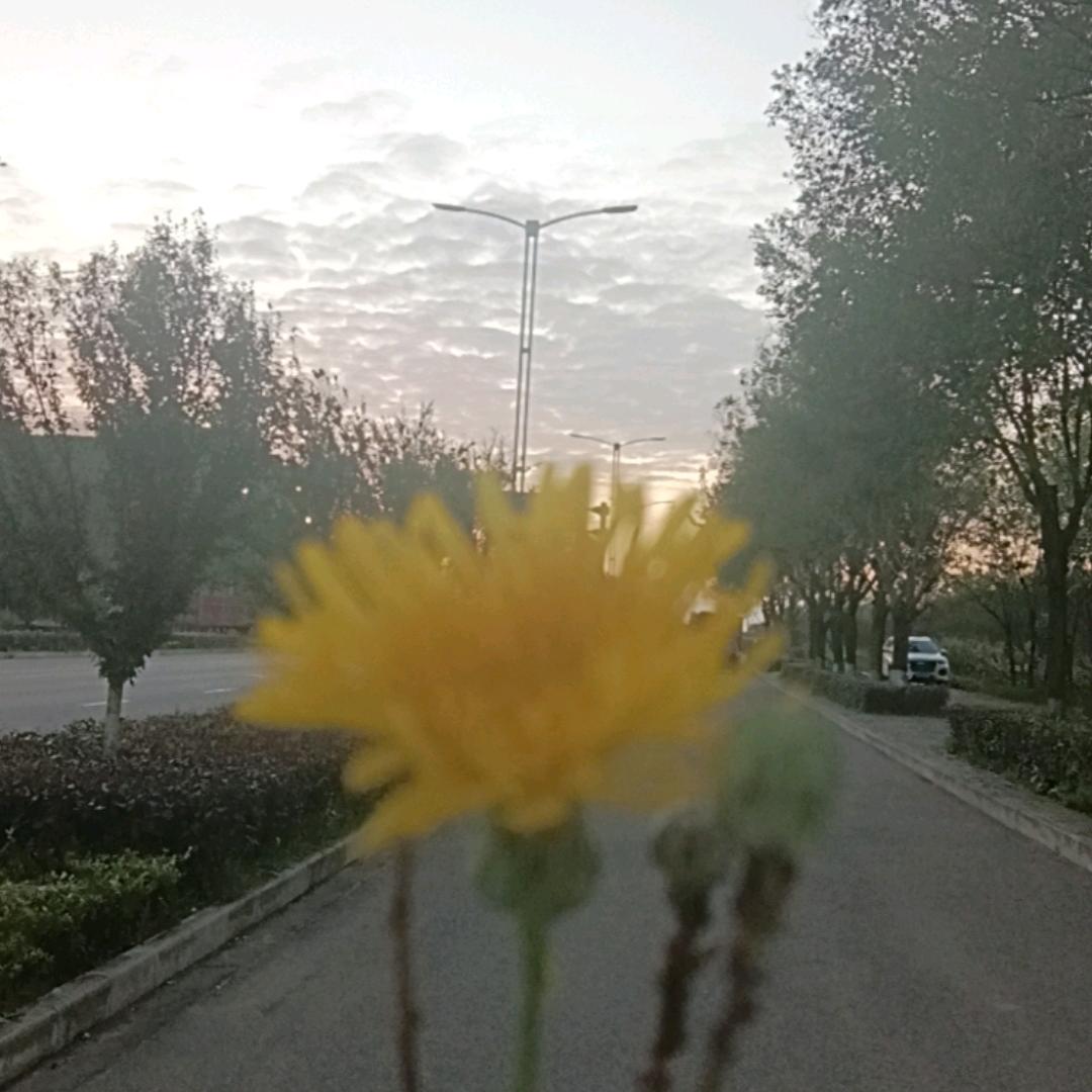 骑着蜗牛上高速