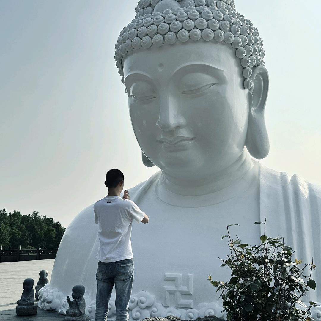 调、请放低