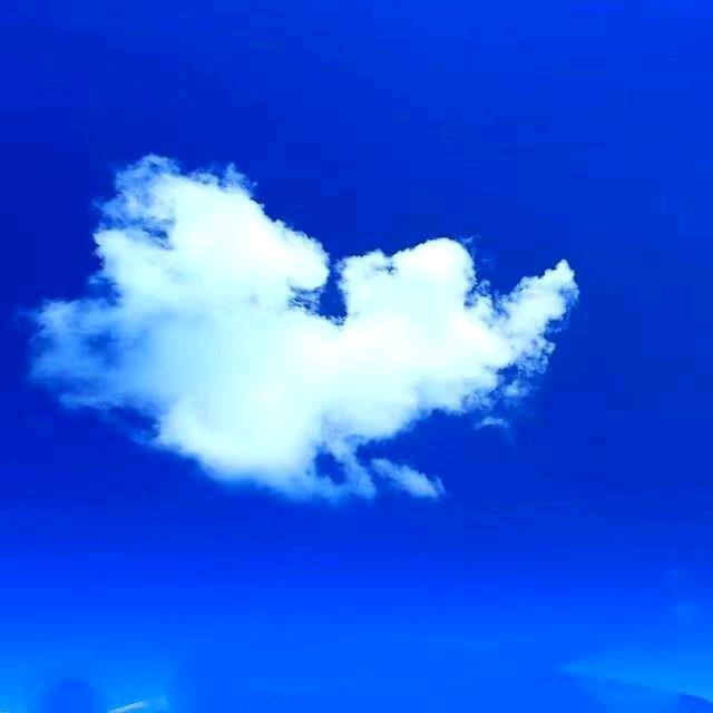 流浪单身走天涯