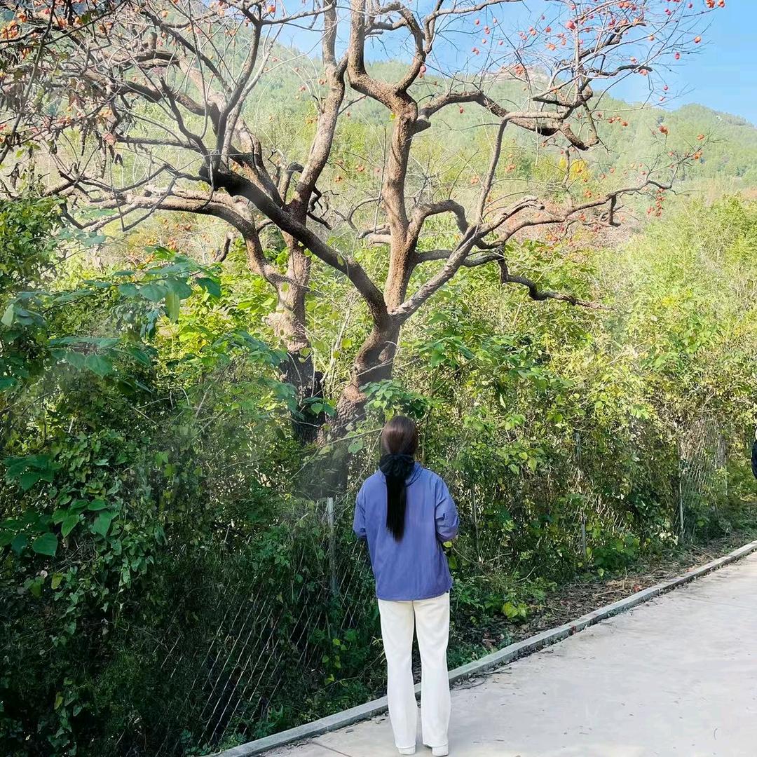 雯win💙