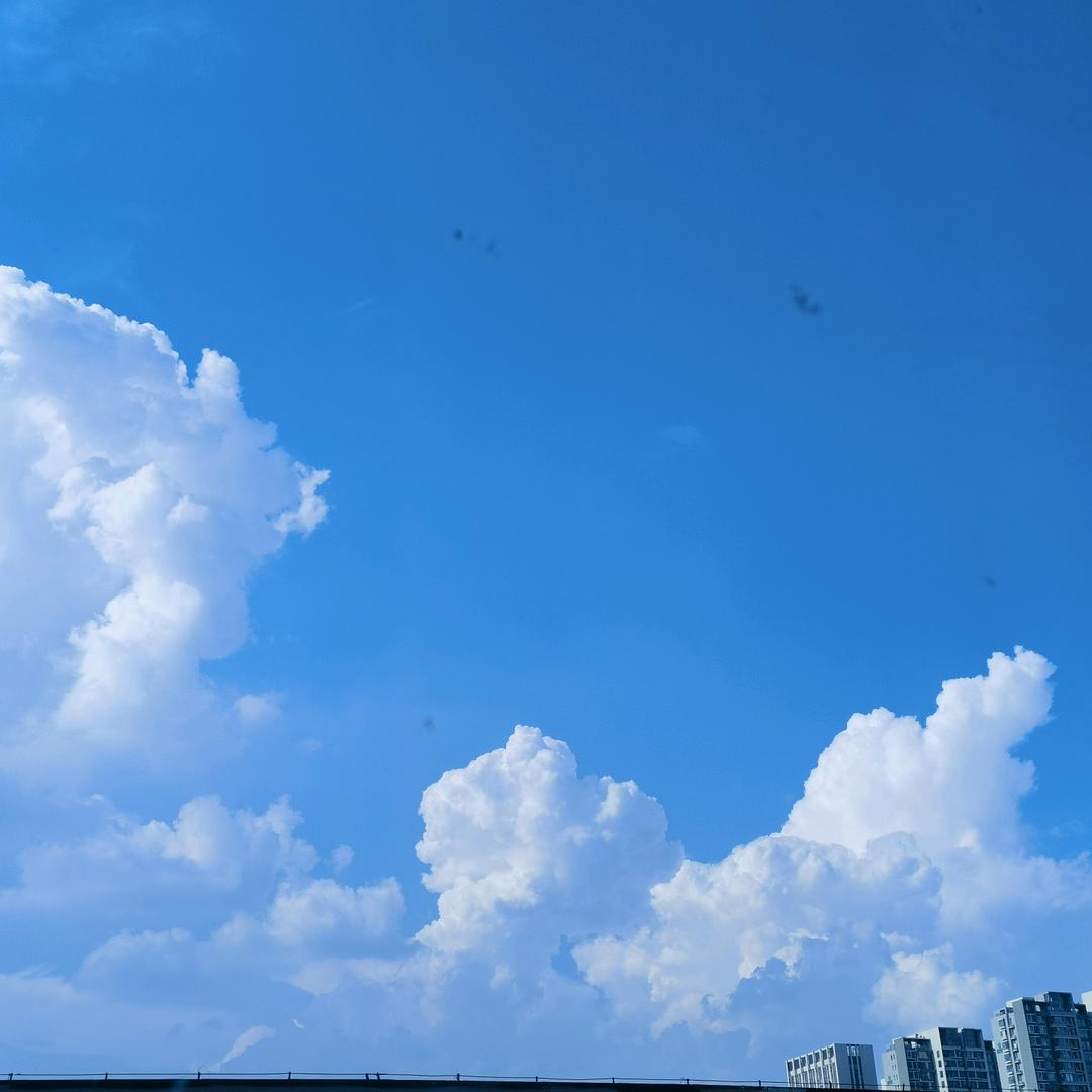 狮子林