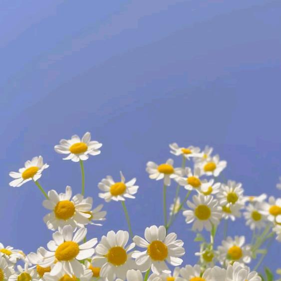 分币不刷，只为做公益