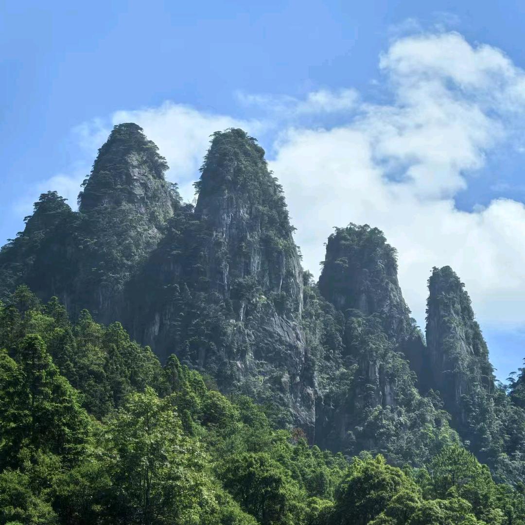 大金山阿斌