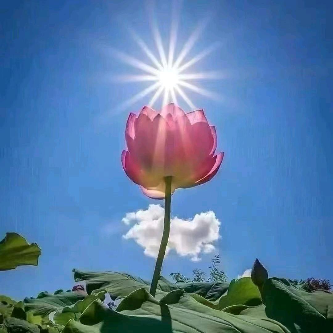 ╭( ′• o •′ )╭☞就是这个人！