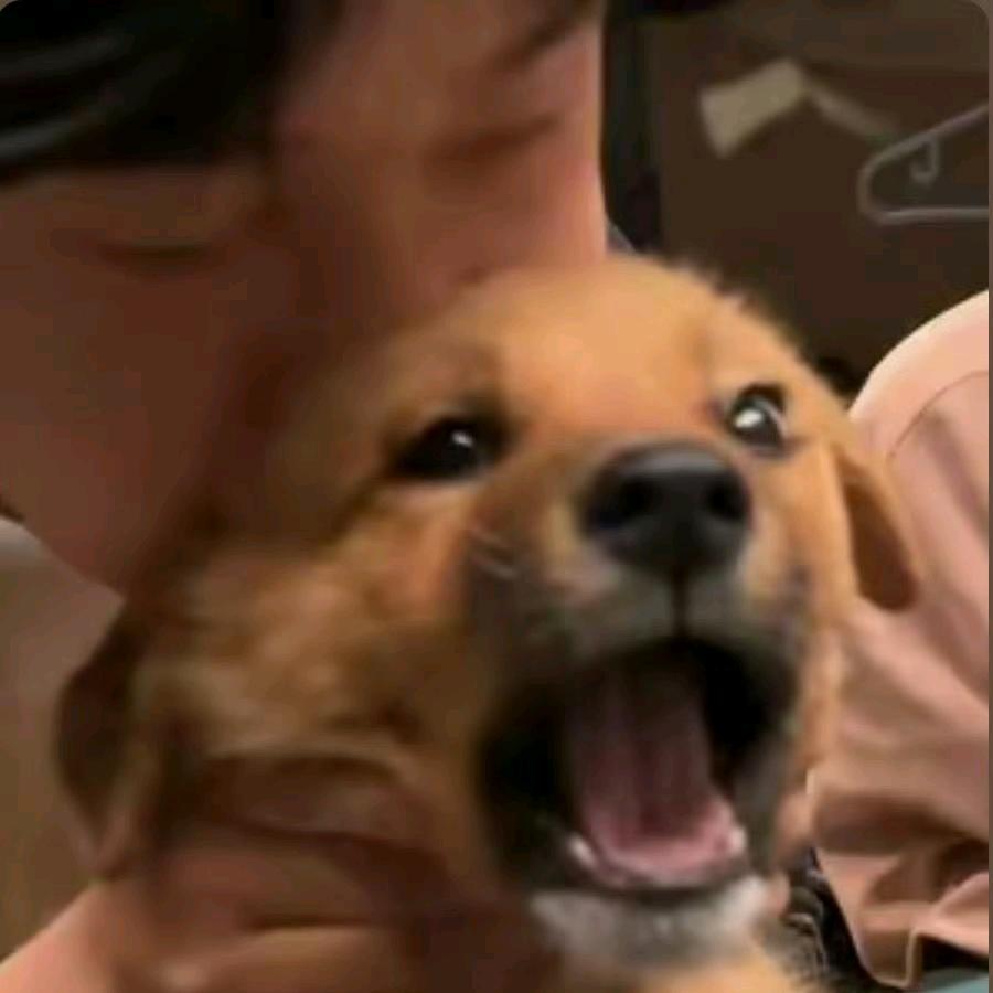 立秋.