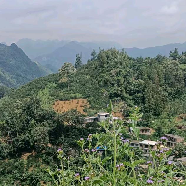 王升名