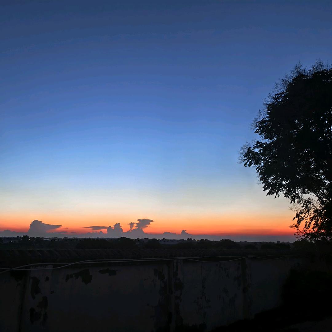 🌸小小熙🌸🍓