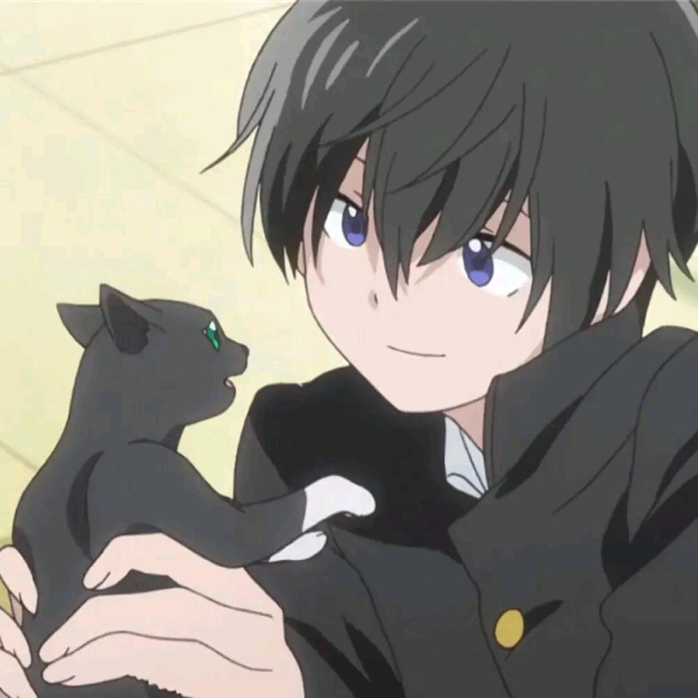@猫贪余温