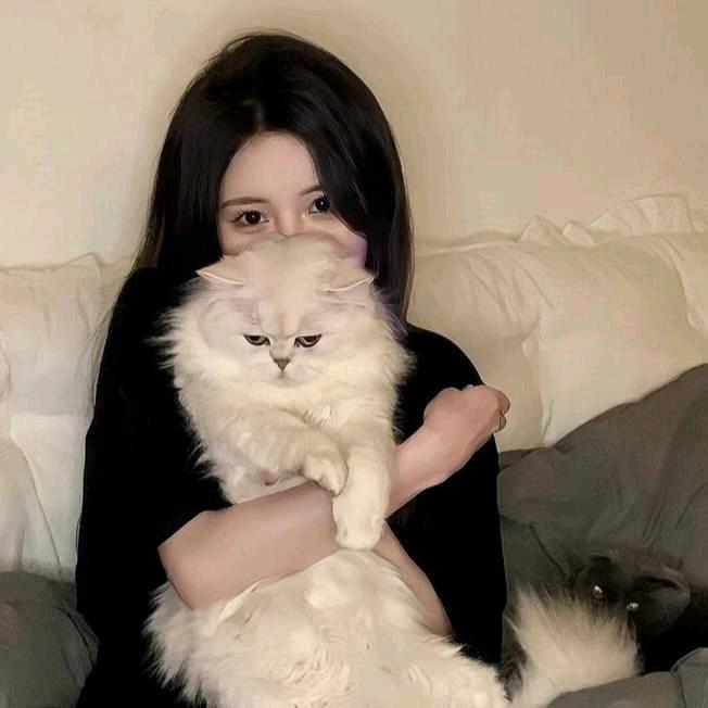 うそをつく