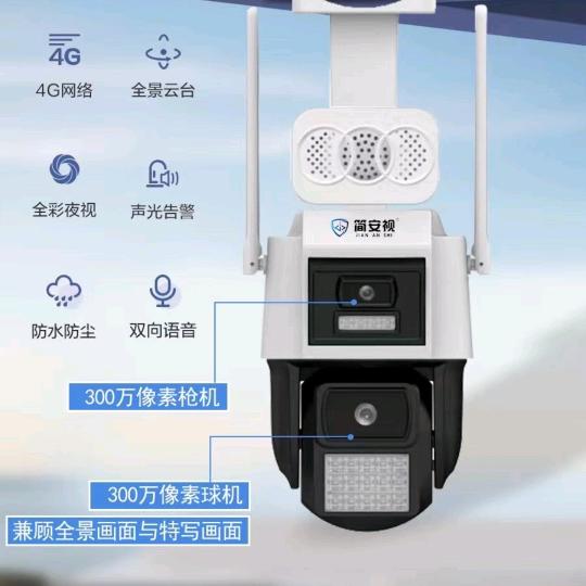 新疆红枣树