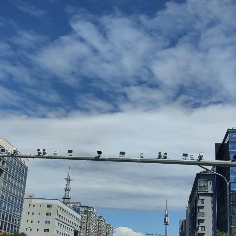 鞭舞龍行