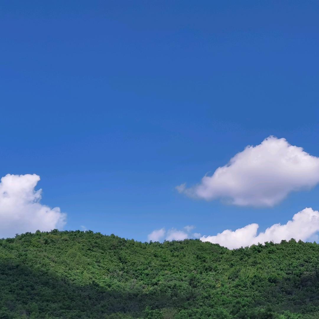 乡村生活甄选阁