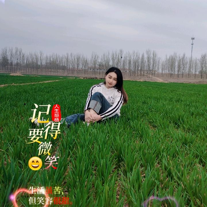 乔乔
