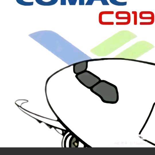 Flight✨C919（必回关）