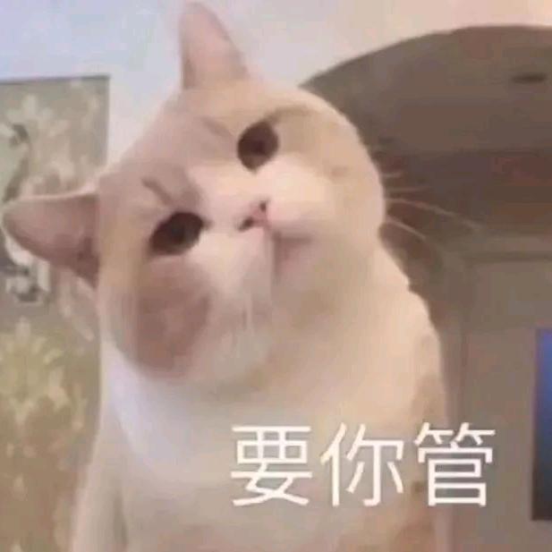 忘望旺