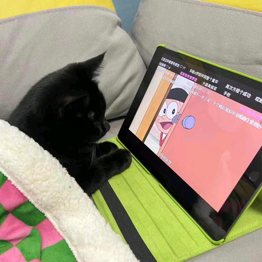 biubiu🐱