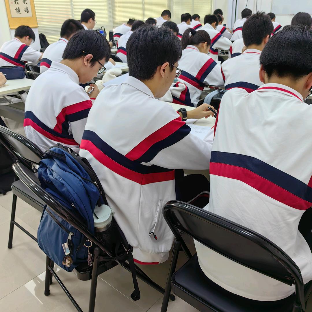 数学大玩家（大魔龙培优）