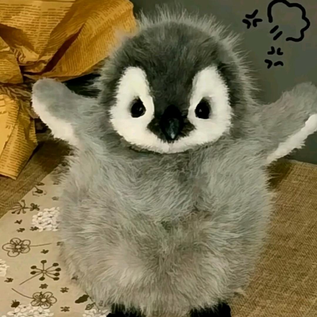 快乐小企鹅🐧