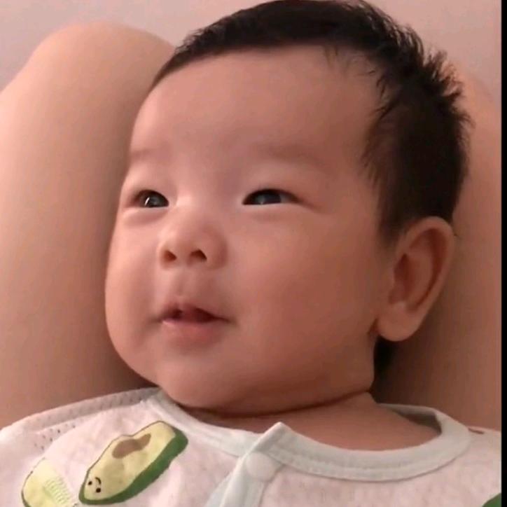 Zy洋