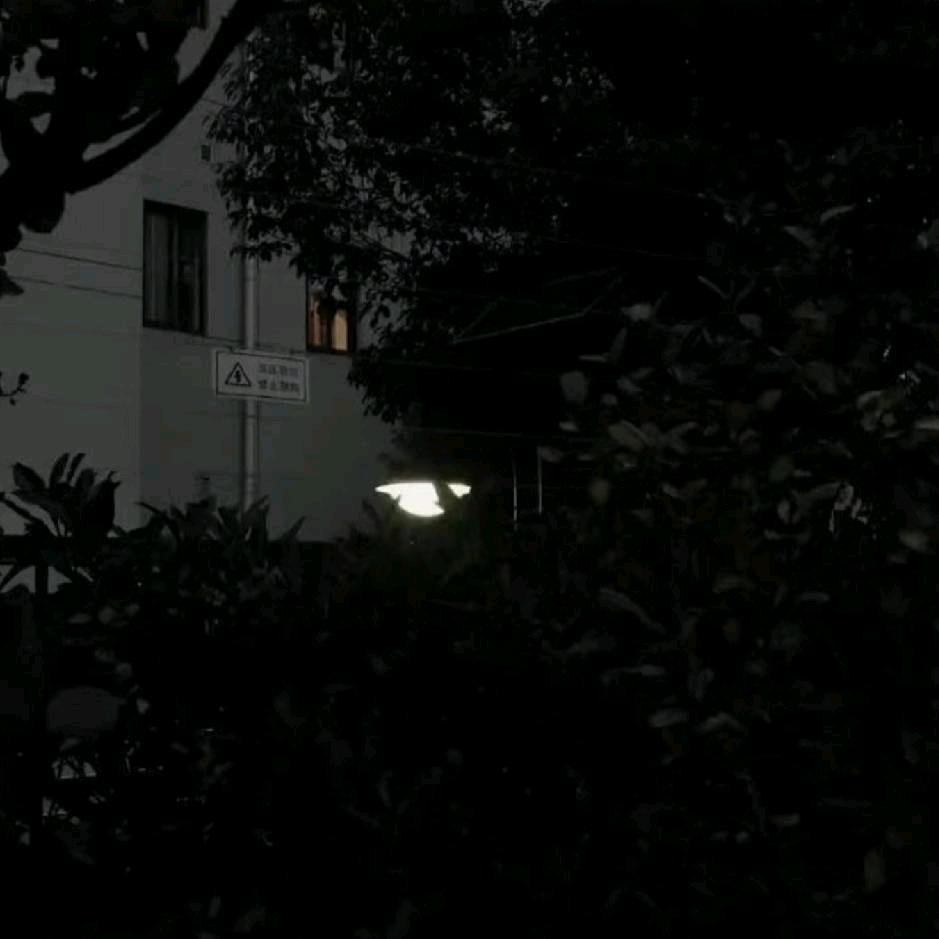 去爱具体的生活