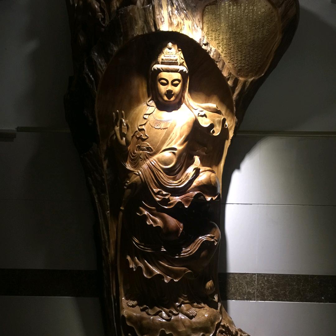 刘夫磊