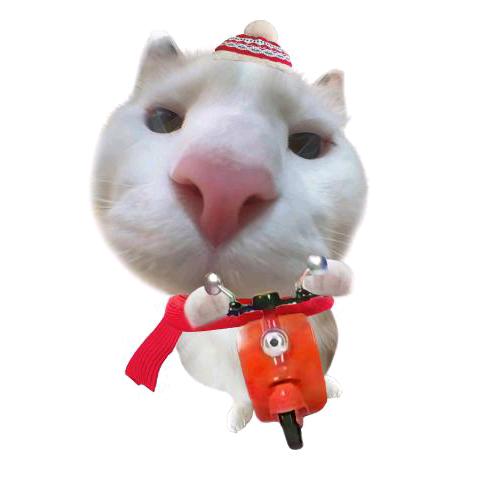 索大.