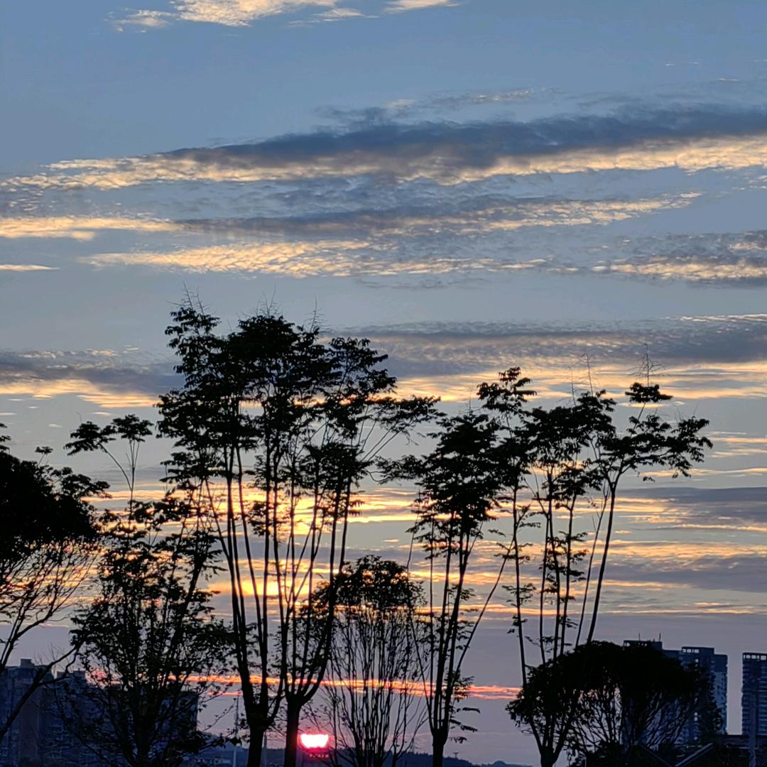 小西西
