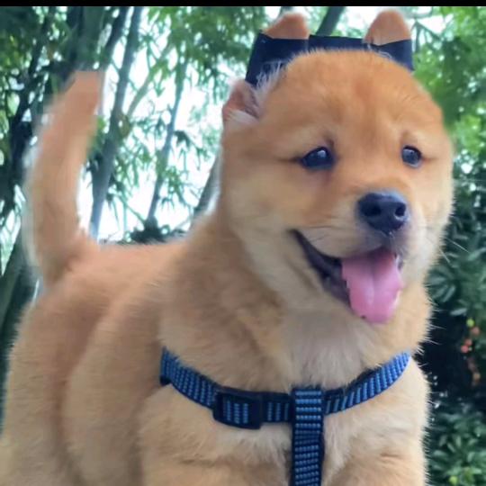 平南县养殖精品店