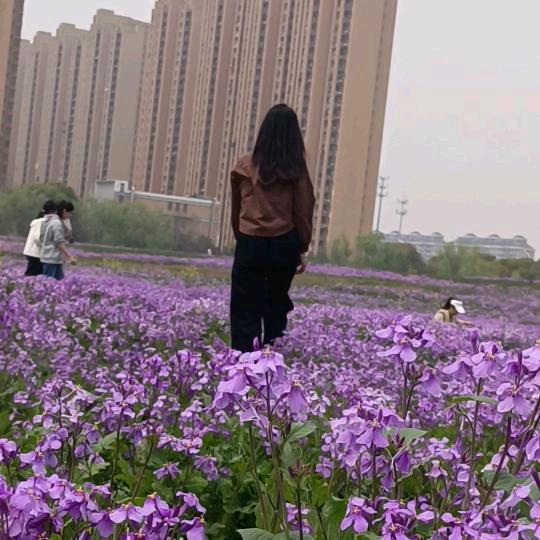 删档重来