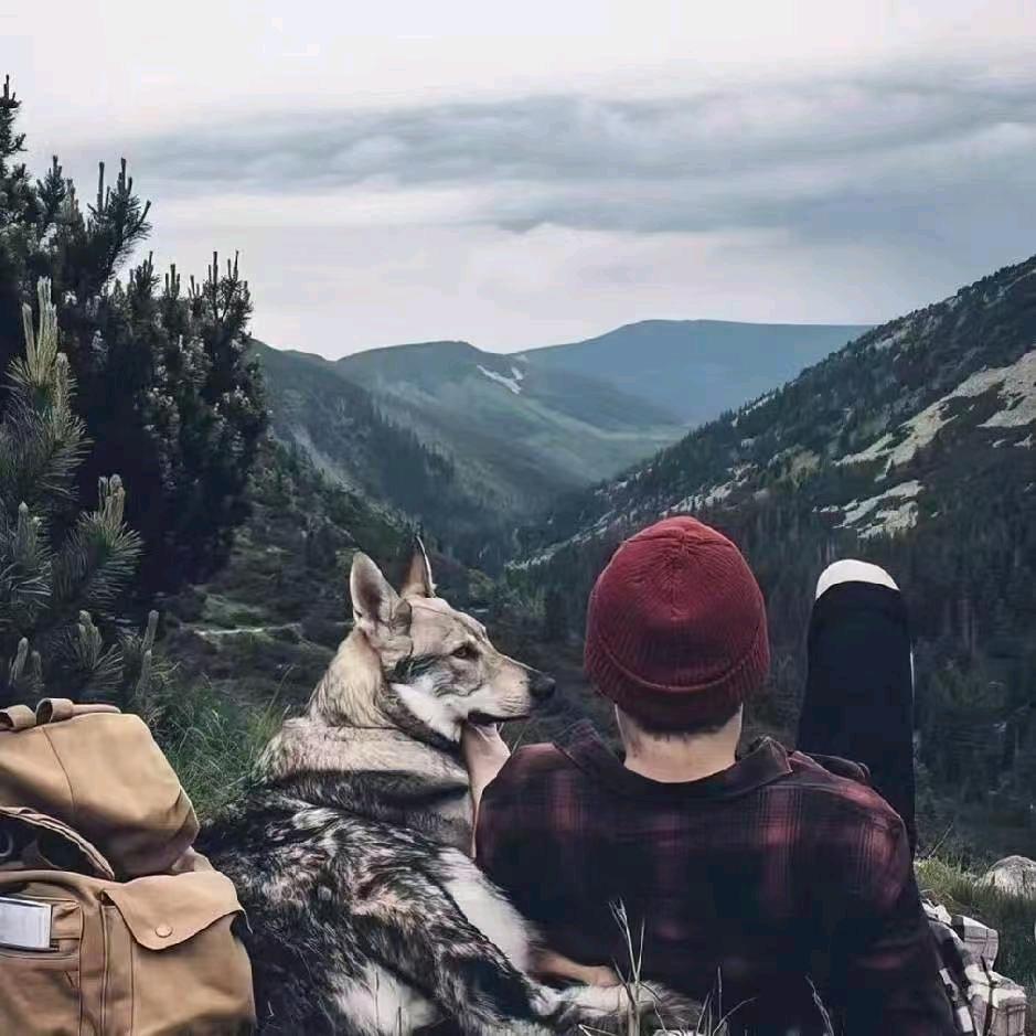 光辉《电影直播授权》