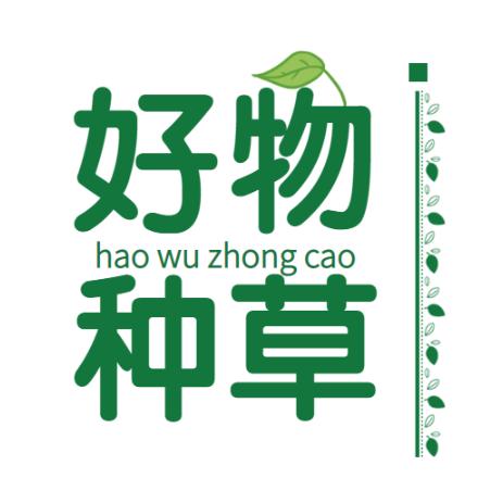 小洋推荐