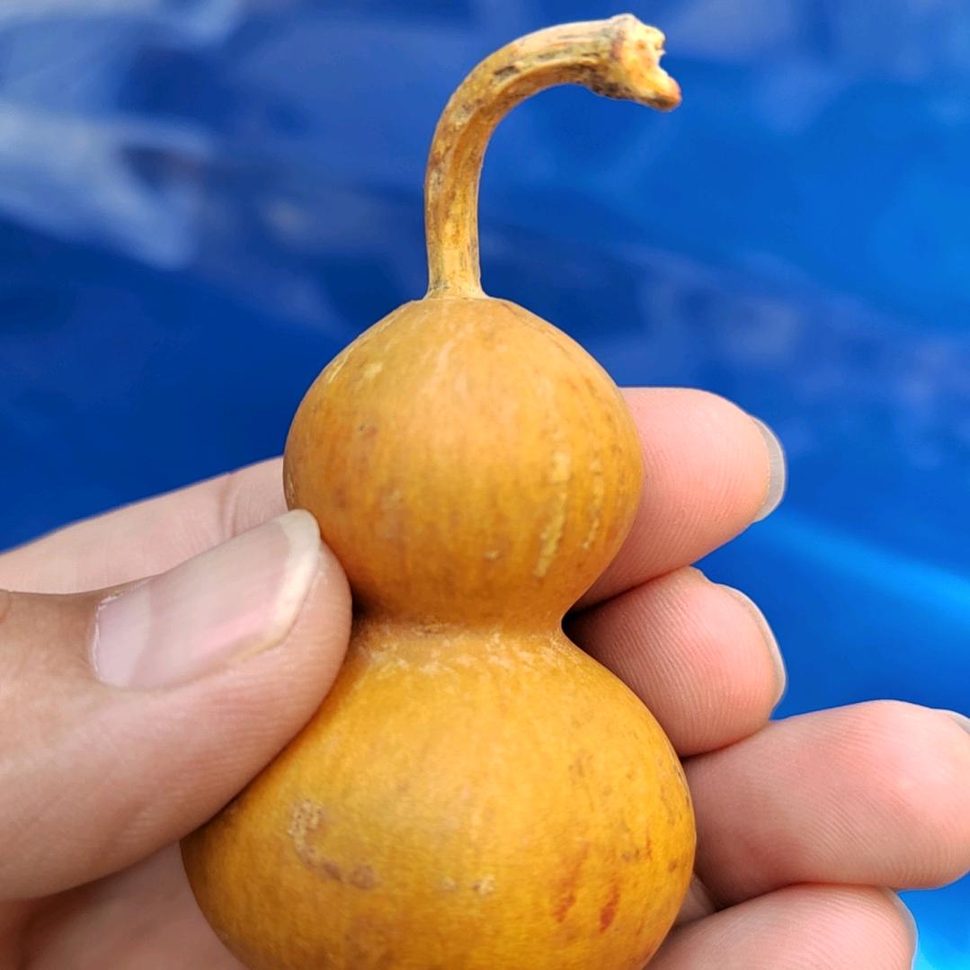 狼营