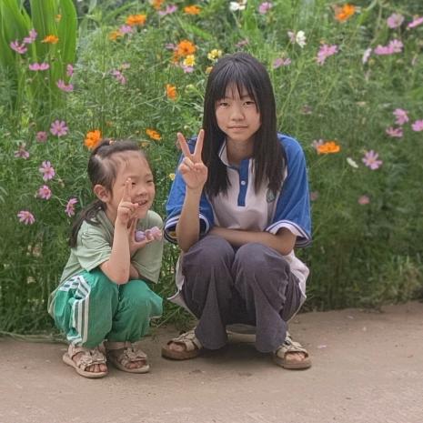 苹姐