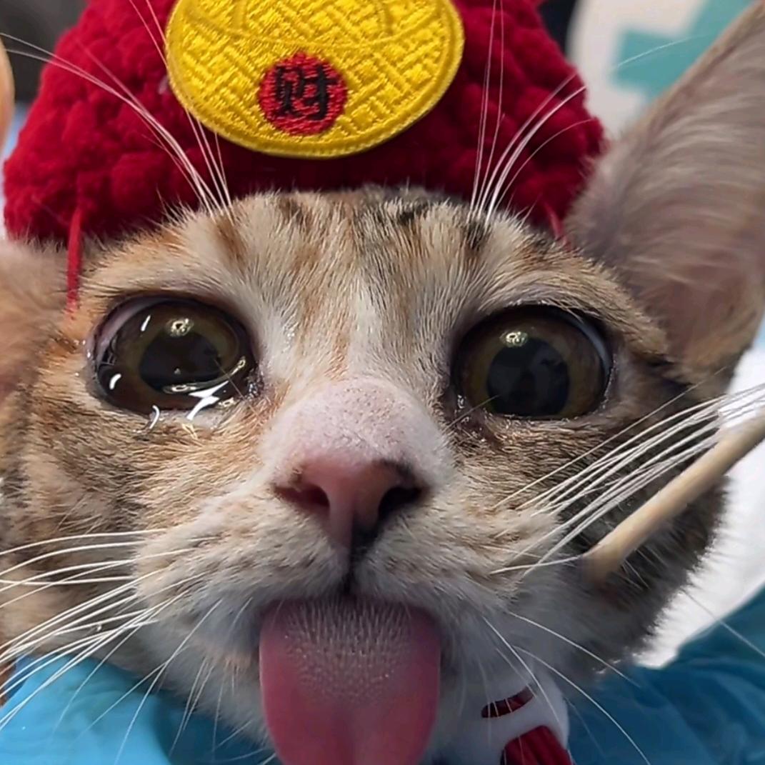 喜欢弹琴的小黑一只✌️