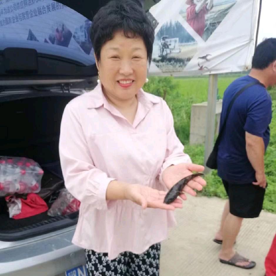 江小葡农服章万莉