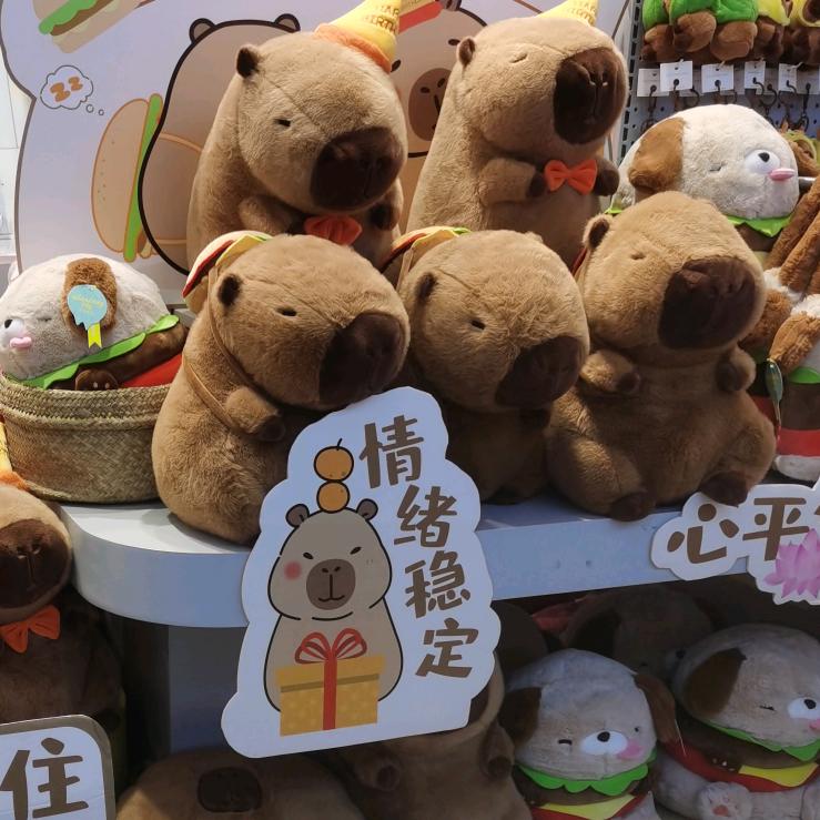 影子🌞