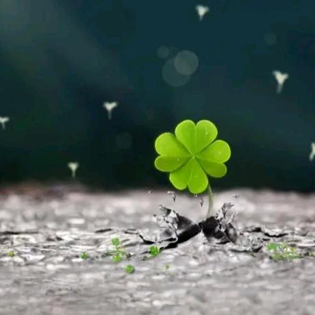 锁骨下的秘密 ࿐