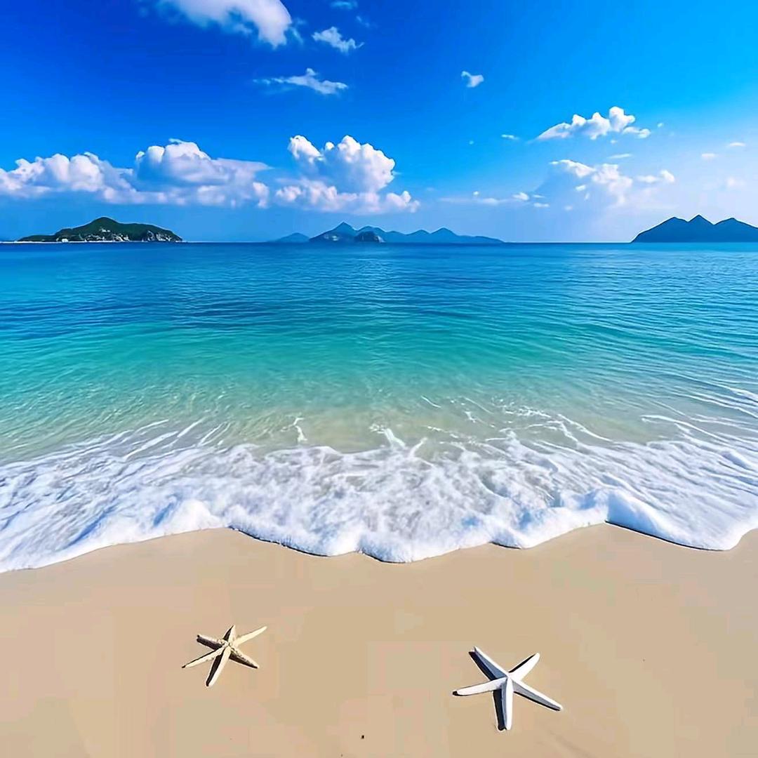 能能陶