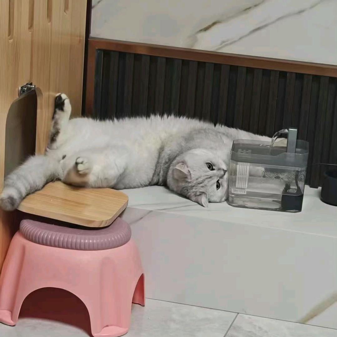 复合仙贝