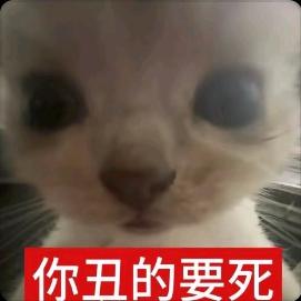 小心谨慎的粗心boy