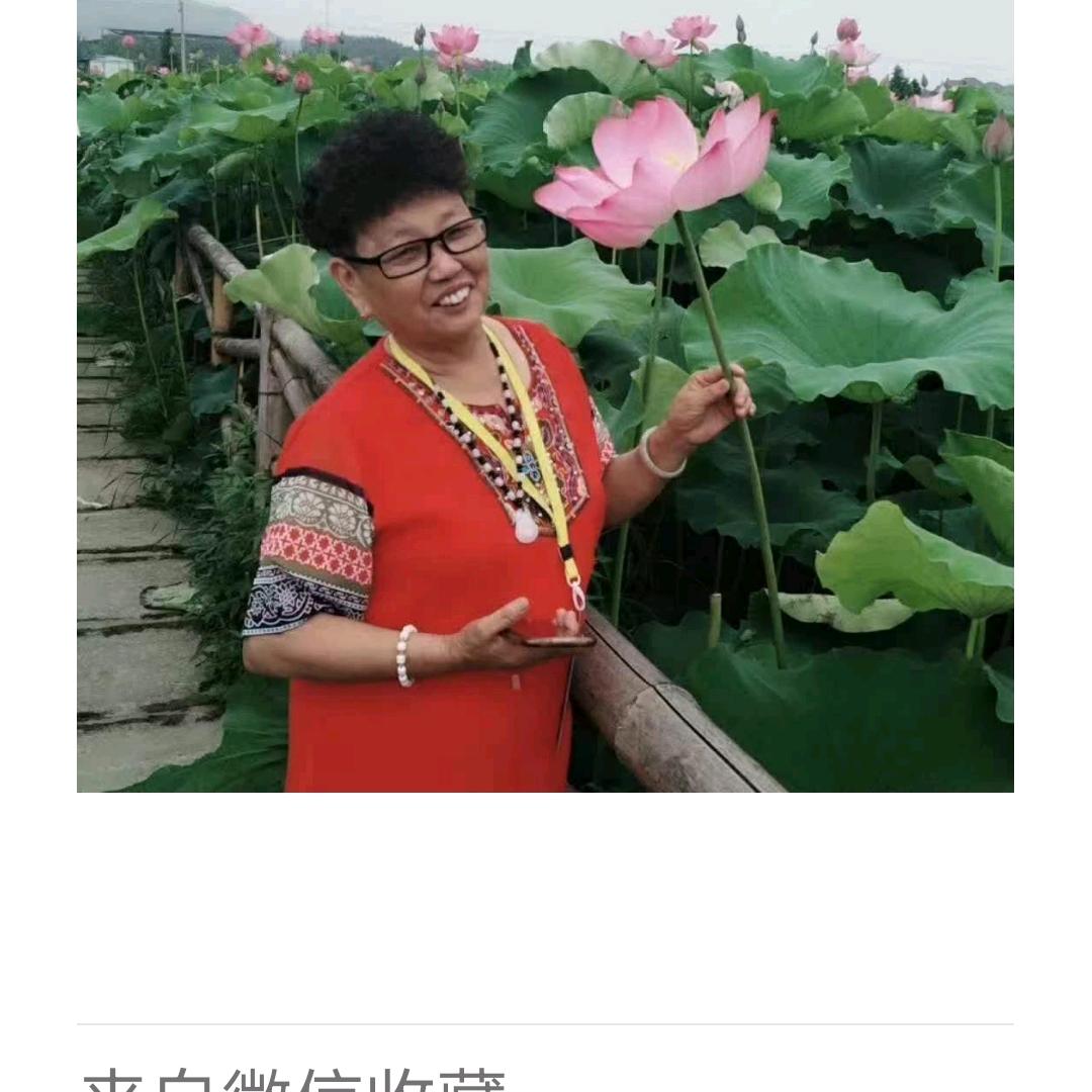 杨老师