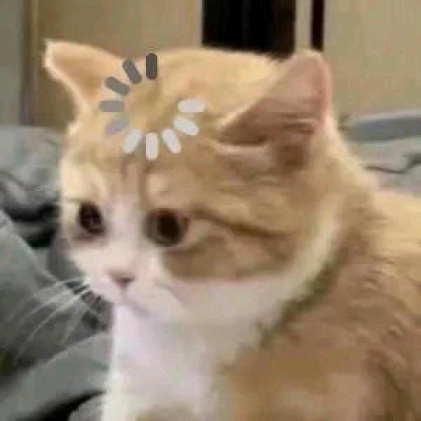 呼呼呼呼呼呼呼