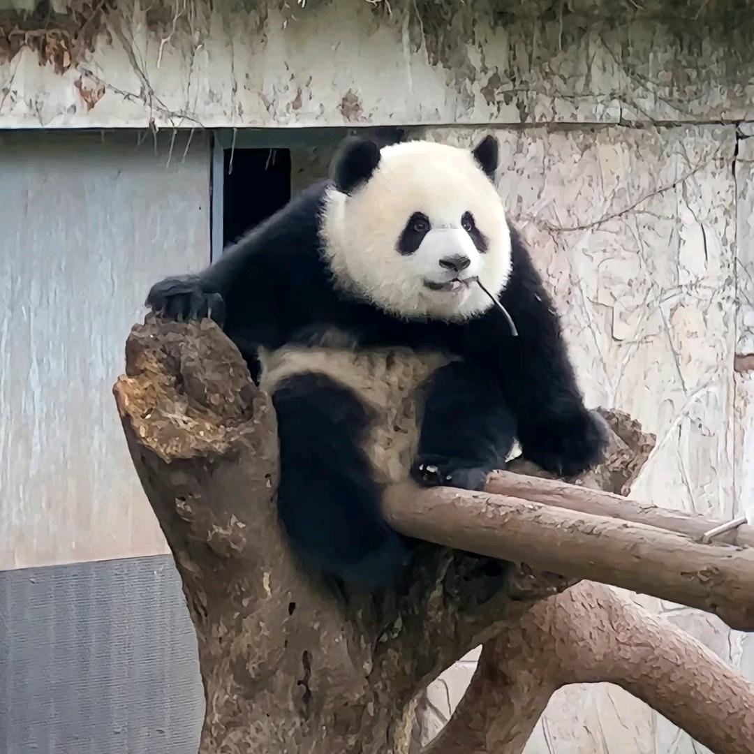 这条小鱼在乎🐟