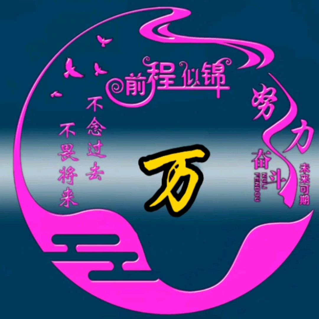 武当小万