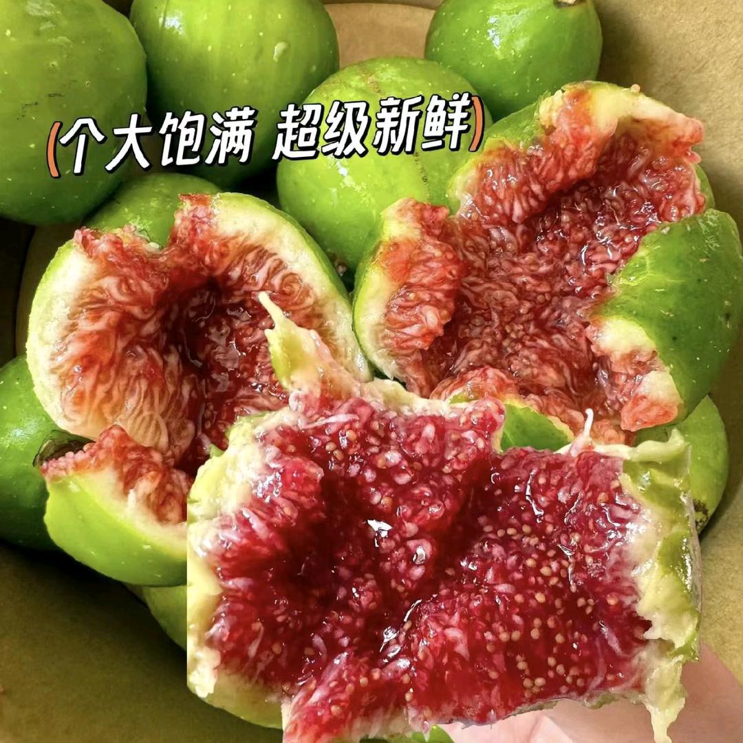 威海青皮无花果