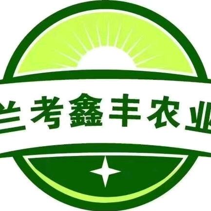 鑫丰农业--小黄