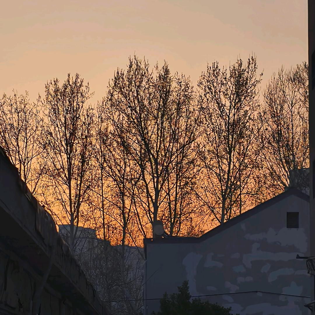 青岛喜悦汽车销售服务